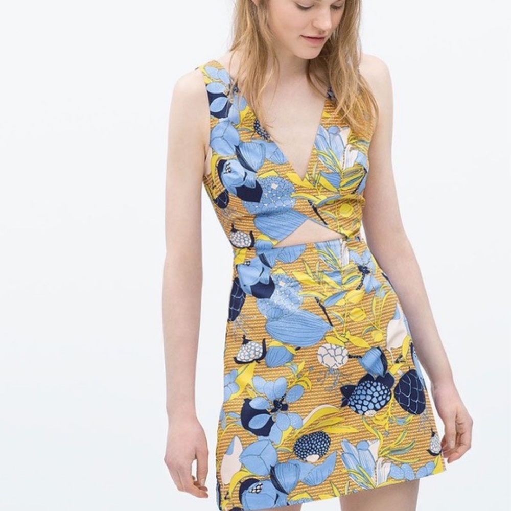Zara Dress